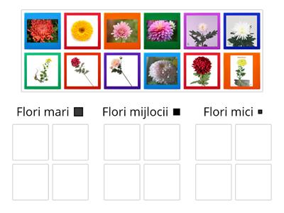 Sortează florile în funcție de mărime