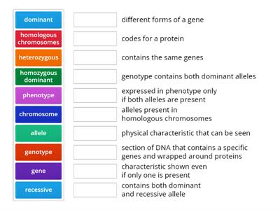 Genetic Definitions ks4