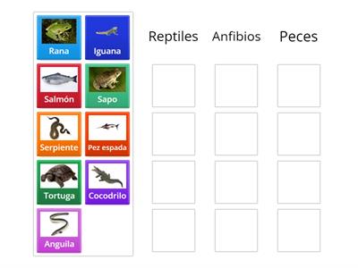 Clasificación de animales: Reptiles, anfibios y peces.