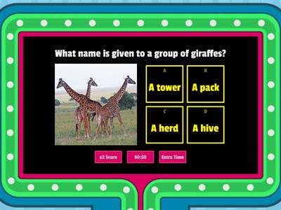 Animals Trivia Quiz