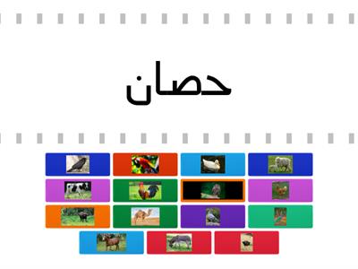 Arabic FA- Term 2