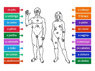 Partes do corpo