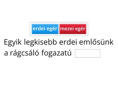 Az erdő élet közössége,egészítsd ki a mondatokat!