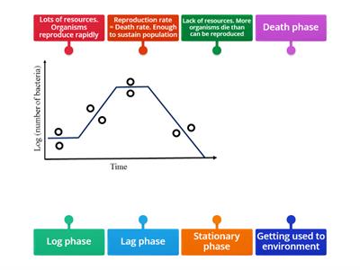 Population growth curve