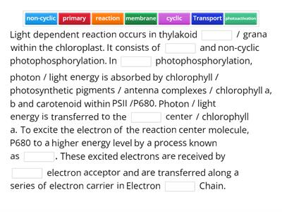 Describe light-dependent reaction.