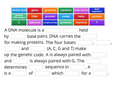 1.3 N5 Bio DNA structure