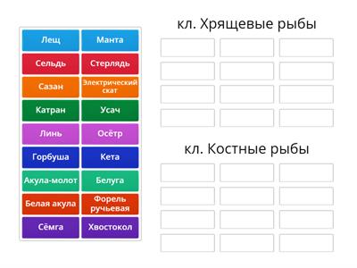 кл. Хрящевые рыбы / кл. Костные рыбы