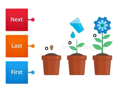 Label the sequence of growing a plant.