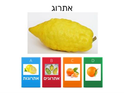 יחיד רבים חגי תשרי