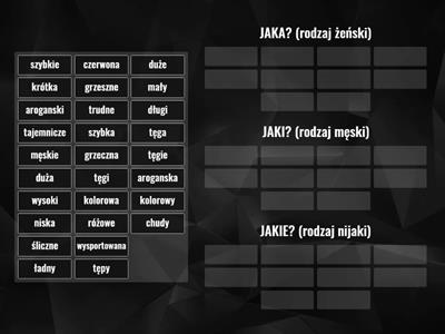  Mianownik - rodzaj (przymiotnik)