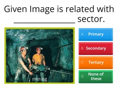 Sectors of the Indian Economy