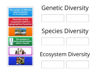  3 Types of Biodiversity 