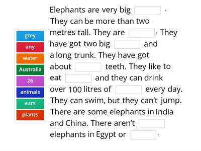 AS2 U1 Elephants 