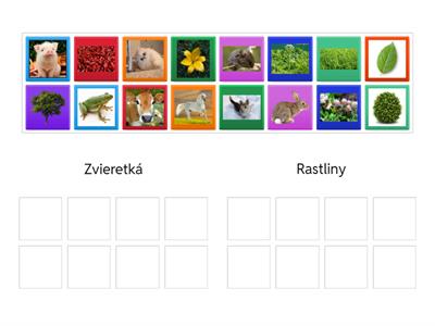 Zvieratká a rastliny