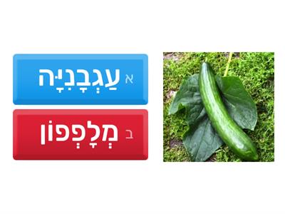 עברית טבעית - ירקות