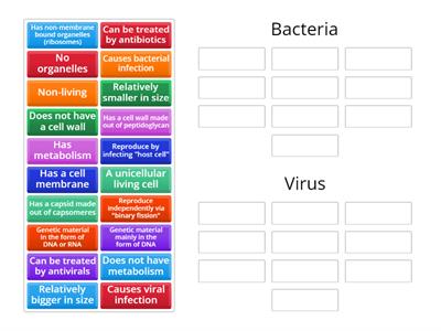 06-Bacteria vs Virus 