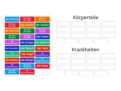 Beim Arzt: Ordne die Wörter der richtigen Gruppe zu.