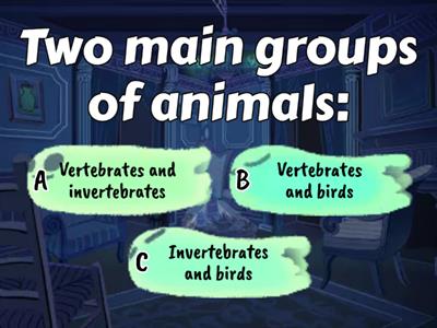 Animals - Vertebrate or Invertebrate - Classes of animals
