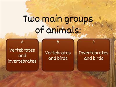 Animals - Vertebrate or Invertebrate - Classes of animals