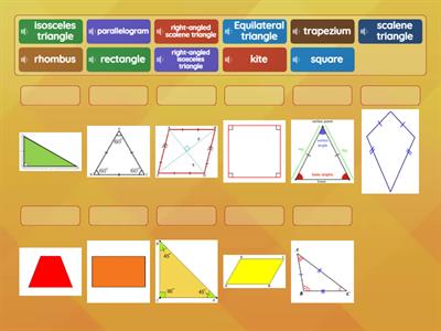 Triangles and Quadrilaterals