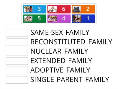 TYPES OF FAMILIES