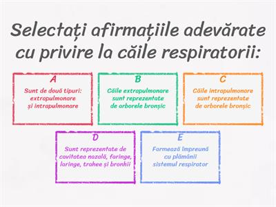 C8. Respirația