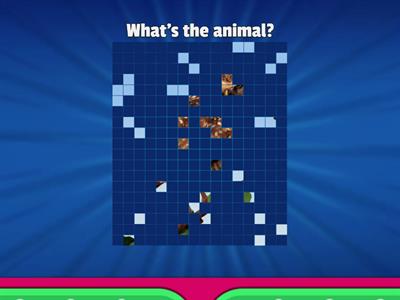 SM3_unit 2_animals_food chain_habitats