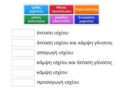 Αντιστοίχιση των μυών με την κίνηση που κάνουν