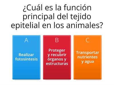 TEJIDO ANIMAL Y TEJIDO VEGETAL