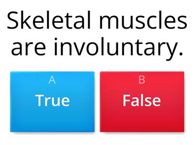  Muscular system- Involuntary and Voluntary 