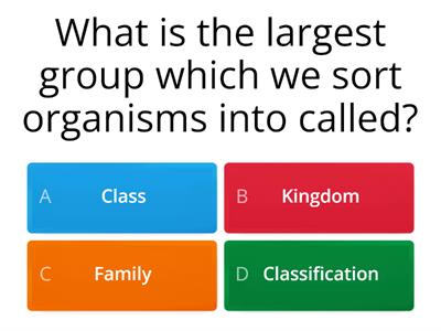 Classification quiz