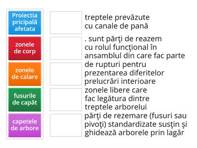 Arbori si osii