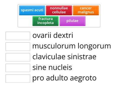 Zdravotnická latina - L6 - 23/1 b