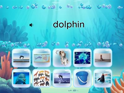 Dolphins - vocab, spelling (DRA decodable Level 4 NF1) pp. 2-3