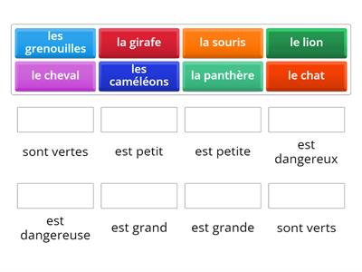 AS French animal adjective agreement match up