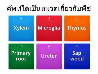 ศัพท์ทางชีววิทยา