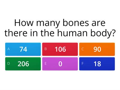 BONES Quiz