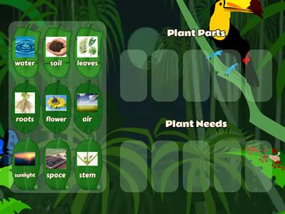 Copy of Plant Needs and Parts