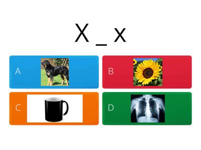Find the picture that has letter X.