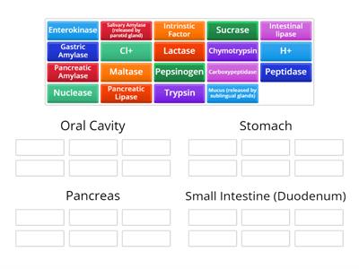 Review: Digestive Enzyme/Chemicals Source Locations