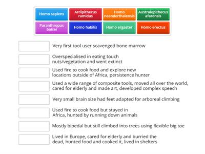 Name the Hominin Species