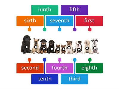 Labelled diagram Ordinal Numbers 1st-10th
