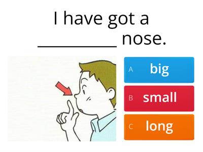 Adjectives: big, small, long, short