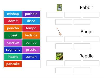 Rabbit, Banjo, Reptile