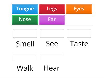 Bodies Part - Mathcing Quiz