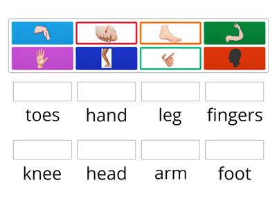 Body parts (Super Minds 2)