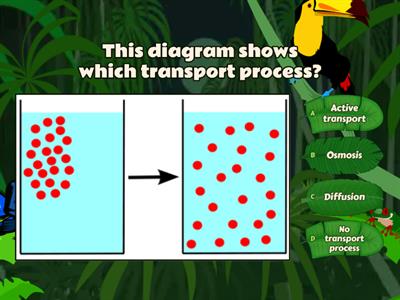 Osmosis, Diffusion and Active transport