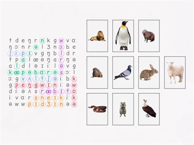 Phonetic animal wordsearch 