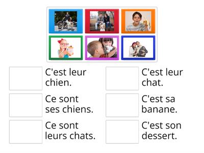 les adjectifs possessifs