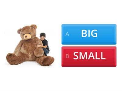 BIG OR SMALL TOYS
